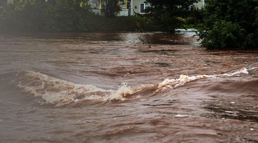 Why choose water damage restoration service for commercial flood cleanup in South Dennis